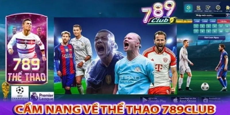 Thể thao 789club Ưu đãi và chăm sóc khách hàng tại thể thao 789club