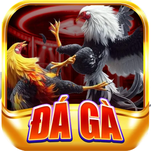 đá gà 789bet